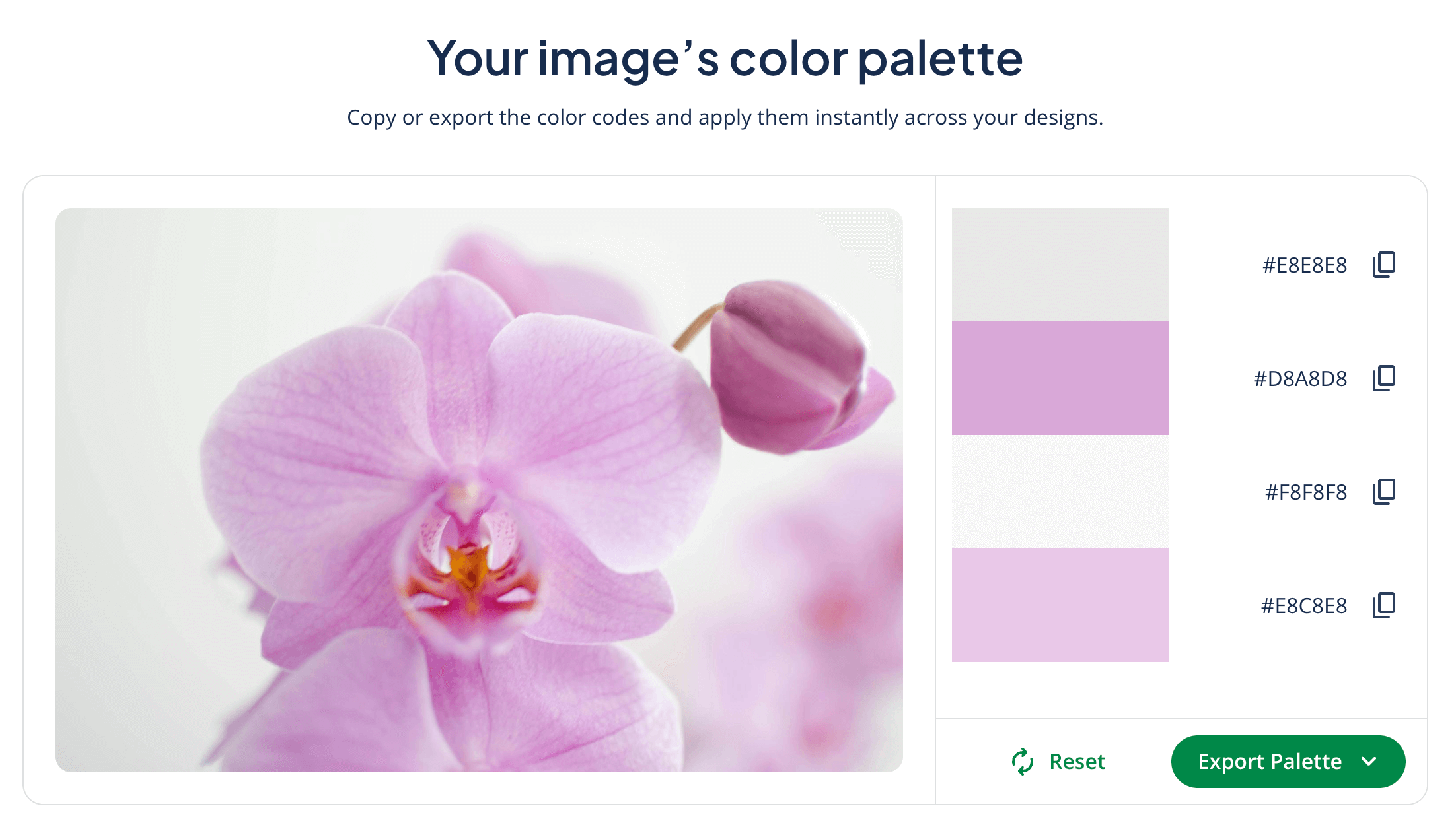 A color palette extracted from a photo of an orchid by Quillbot's color palette generator