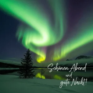 Gute-Nacht-Bild